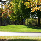 Buena Vista Apartments and Town-homes in Elgin is ideally situated to give you easy access to the best of what the area has to offer. Browse the categories for local services and attractions near you. On-site PACE Bus Stop.