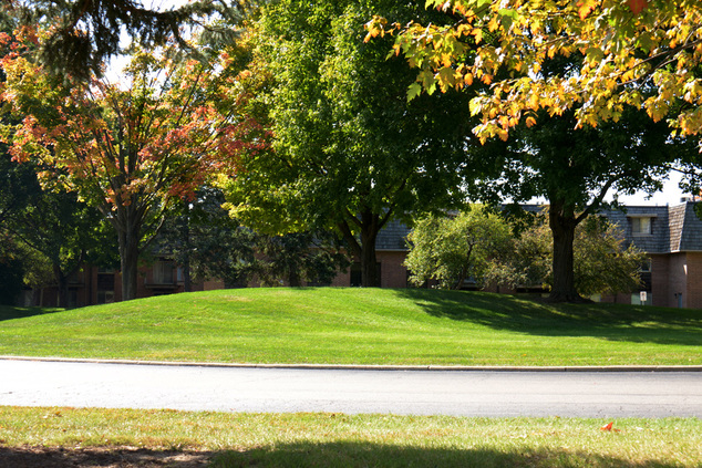 Buena Vista Apartments and Town-homes in Elgin is ideally situated to give you easy access to the best of what the area has to offer. Browse the categories for local services and attractions near you. On-site PACE Bus Stop.